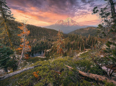 Ravensburger Puzzle - 4 Seasons - 4X 500 piese puzzle jigsaw pentru adulți și copii cu vârsta de peste 12 ani Puzzle Naty Shop