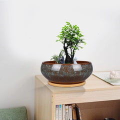 Ghiveci ceramic pentru bonsai, glazurat, puțin adânc, pentru plante suculente, cu orificiu de drenaj și farfurie din bambus pentru plante de apartament, 20,3 cm, maro