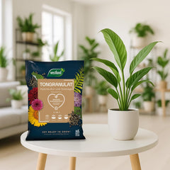 Westland Clay Granules, 5 L - Gránulos para plantas ideal para hidroponía, sustrato de drenaje sin aditivos químicos, para uso interior y exterior