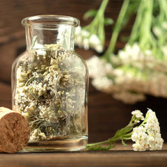 Set de semillas de té: 8 variedades de semillas para balcón y jardín - menta, manzanilla, anís, ortiga, malva - semillas de plantas - té - caja de té - Plantas OwnGrown