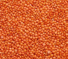 Seba Garden Lentejas Rojas 1kg - Lentejas Enteras Premium de Canadá - Massor Dal, Sin OGM, Alta en Proteínas, Alta en Fibra - Totalmente Natural, Vegana, Sin Gluten, Ideal para Sopas y Curry