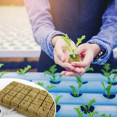 28 Cubos de Lana de Roca, Juego de Lana de Roca, Estera de Cultivo de Lana de Roca, Estera de Cultivo Hidropónico sin Suelo, Cubo de Lana de Roca, Cubos de Lana de Roca para Esquejes, Clonación, Propagación 4*4*4cm