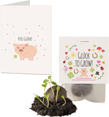 10x "Glück to grow" Semenbomben als Glückbringer 2026 & Blumensamen Geschenk | Mitbringsel Erwachsene & kleine Gastgeschenke Silvester - Kleeblatt Glückbringer Prüfung - inkl. Conjunto de tarjetas de regalo