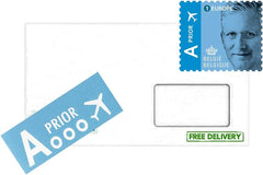 Flores de amapola Buzzy Poppy Islandia