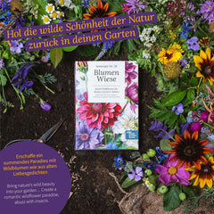 Magic Garden Seeds - Blumenwiese Samen Box Mit 12 Wildblumen - Insektenfreundliche & Pflegeleichte Blumen Für Bienen, Schmetterlinge, Garten & Balkon