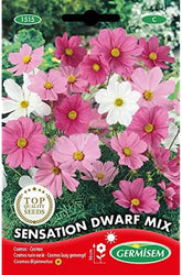 Cesta para joyas, multicolor, EC1515