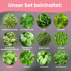 LERAVA Kräutersamen Set - 12 tipos: Basilikum Samen, Parsilie Samen, Koriander, Oregano & mehr - Saatgut für frische Kräuter im Garten oder Topf, Premium Samen für Küche & Balkon - Samen set, semillas
