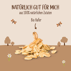 Allos Bio Haferdrink Barista | Milchalternative en Hafer | Bebida Schaumbarer auf Pflanzenbasis | Perfecto para café Bebida vegana sin lactosa | 1 Litro (6 Piezas)