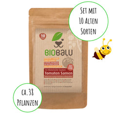 Tomatensamen Bio - 10 Alte Sorten in Einzelpackungen - Historisches Saatgut Set Tomaten, Saatgut Raritäten in Bioqualität, Samenfeste & Seltene Tomatensorten Für - Geschenkset