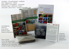SAFLAX - BIO - Diente de león - 400 semillas - Taraxacum officinale