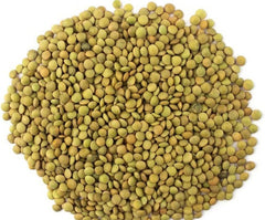 Lentejas Verdes - Variedad Laird, Paquete de 1 kg | Lentejas enteras de primera calidad | Rica en Proteínas y Fibra | Vegano, sin OGM | Ideal para sopas, ensaladas, curry y preparación de comidas.