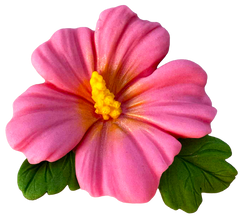 Flor de hibisco comestible – 9,5 cm, decoración para tartas