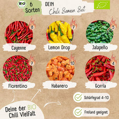 Juego de semillas de chile orgánico - 6 semillas de chile orgánico, de suave a extremadamente picante, calidad polinizada libre | desde el picante habanero hasta las coloridas y tradicionales variedades de chile – Pepperoni Seeds