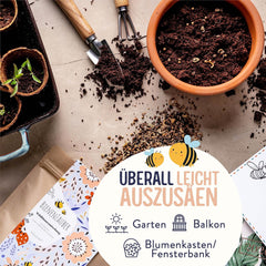 Blumenwiese Samen I 200 g I Blumensamen mehrjährig I Samen für Bienen Blumenmischung I Wildblumensamen f. Balkonblumen, Wildblumen I Wildblumensamen mehrjährig winterhart como Bienenweide