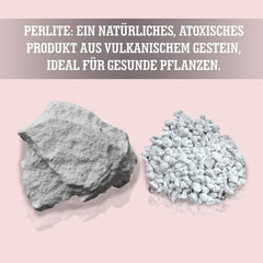 LERAVA® Perlita para Plantas (5L) – Perlita de grano grueso para la mejora del suelo – Garantiza un drenaje y aireación óptimos – Aditivo natural para suelos e hidroponía – Gránulos para plantas