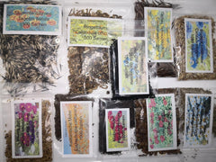 Juego de semillas de flores silvestres, 10 variedades, 28 000 semillas, mezcla de flores silvestres de pradera con amapolas, campanillas, caléndulas, margaritas y más, todo envuelto individualmente