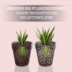 LERAVA® Perlita para Plantas (5L) – Perlita de grano grueso para la mejora del suelo – Garantiza un drenaje y aireación óptimos – Aditivo natural para suelos e hidroponía – Gránulos para plantas