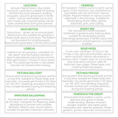 Nojus Set de Semillas de Flores - 10 Variedades de Semillas de Flores - Semillas de Flores para Balcón - Semillas de Plantas Coloridas - 10 Paquetes - Semillas de Flores Silvestres - Bolsitas de Semillas de Flores - Regalo Ideal de Semillas de Flores