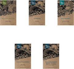 Plantas legendarias de cola de caballo - Set de semillas con 5 plantas mágicas