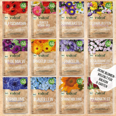 Juego de semillas de flores orgánicas | 12 variedades de semillas de flores | Semillas de flores premium | Juego de semillas de plantas de semillas de flores silvestres | Semillas de flores | Semillas de flores para el balcón | Regalo ideal con semillas de flores.