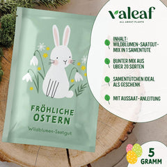 Blumensamen Wildblumenwiese I Blumen Saatgut Als Ostergeschenk, Ostergras Samen I Blumen Samen Oster Geschenk U. Oster Geschenk Kinder I Wildblumen Samen I Blumensamen Tütchen Für Blumenwiese