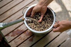 Floragard Green Jungle Mix 6 L - sustrato mineral para plantar Monstera, Philodendron - asegura un drenaje óptimo y un crecimiento saludable de las raíces - ideal para plantas de interior exigentes