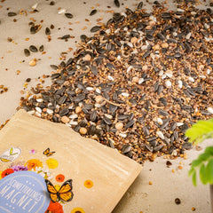 100 g de semillas de mariposa para un prado de flores coloridas - Mezcla de semillas de flores silvestres coloridas y ricas en néctar para mariposas