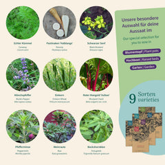 Semințe Magic Garden - Grădina Mănăstirii: Legume și Ierburi din Evul Mediu - Cutie cu Semințe cu 9 Soiuri Istorice pentru Bucătărie, Plante Medicinale și Grădină