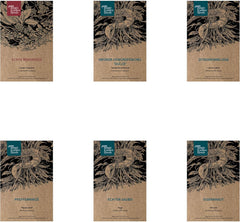 Magic Garden Seeds - Selbstgemachter KrĂ€utertee - Samen Geschenk Set Mit 6 Wohltuenden KrĂ€utersorten - Anzuchtset Mit Pfefferminze, Zitronenmelisse, Salbei, Bergminze, Eisenkraut Und GewĂŒrzfenchel
