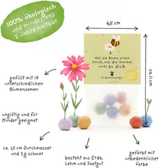 Humorvolles Geschenk: 5 Bunte Blumenmurmeln | Farbenfrohe Seedbombs Mit Wildblumensaatgut | Als Dankeschön, Gastgeschenk & Kleine Grüße Für Gärtner | 100% Ökologisch Und Mind. 2 Jahre Haltbar