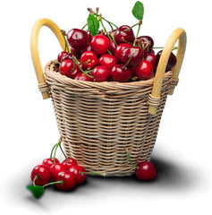 Zwerg-Süßkirschbaum Lapins Auf Gisela 5 – Selbstfruchtend, Obstpflanze Im Topf Ø 20 Cm — Höhe 150-170 Cm, Alter: 2 Jahre – Italienische Baumschule