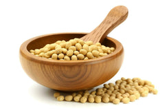 Soja amarilla especial para tofu 5 kg ecológica