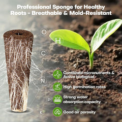 Juego de cápsulas de semillas con sistema de cultivo hidropónico para jardinería interior de 40 piezas - Regular