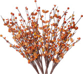 Herbstbeeren-Plektren (Rote Orangefarbene Beeren Und Blätter)