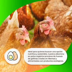 Sermand Nutrition Albúmina de Huevo 100% Polvo Sin Gluten Sin Lactosa