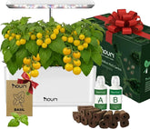 Nuevo 7 Puente + Albahaca reliquia | Jardín inteligente para cocineros caseros | Sistema de cultivo hidropónico | Luces de cultivo LED | Kit de jardinería de hierbas de interior para amantes de las plantas y jardineros, blanco