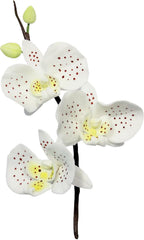 MO223 Decupator de flori, orhidee lunară, asortiment, oțel inoxidabil, argintiu, 4 x 1,2 x 4,2 cm, 3 bucăți
