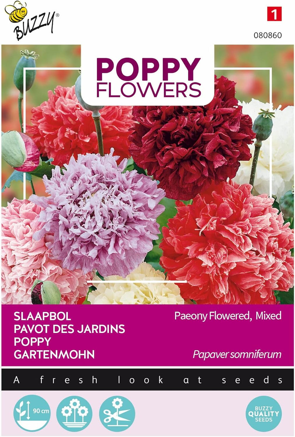 Flores de amapola Buzzy Mac Paeoniflorum Gef. Mezcla.