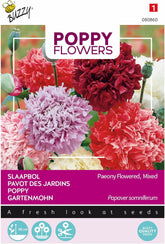 Flores de amapola Buzzy Mac Paeoniflorum Gef. Mezcla.