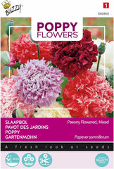 Flores de amapola Buzzy Mac Paeoniflorum Gef. Mezcla.
