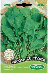 Rucola CULTIVATA Mehrfarbig
