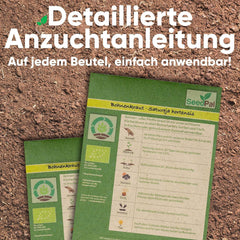 Kräutersamen Set - 12 Beliebtesten Küchenkräuter - Kräuter der Provence, Kräuter italiano - Kräutergarten für Küche oder Balkon - Samen Saatgut - Gartenkräuter Sorten