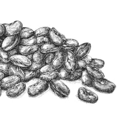 BioGourmet Lentejas Beluga Demeter, 250g