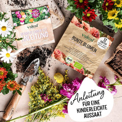 Juego de semillas de flores orgánicas | 12 variedades de semillas de flores | Semillas de flores premium | Juego de semillas de plantas de semillas de flores silvestres | Semillas de flores | Semillas de flores para el balcón | Regalo ideal con semillas de flores.