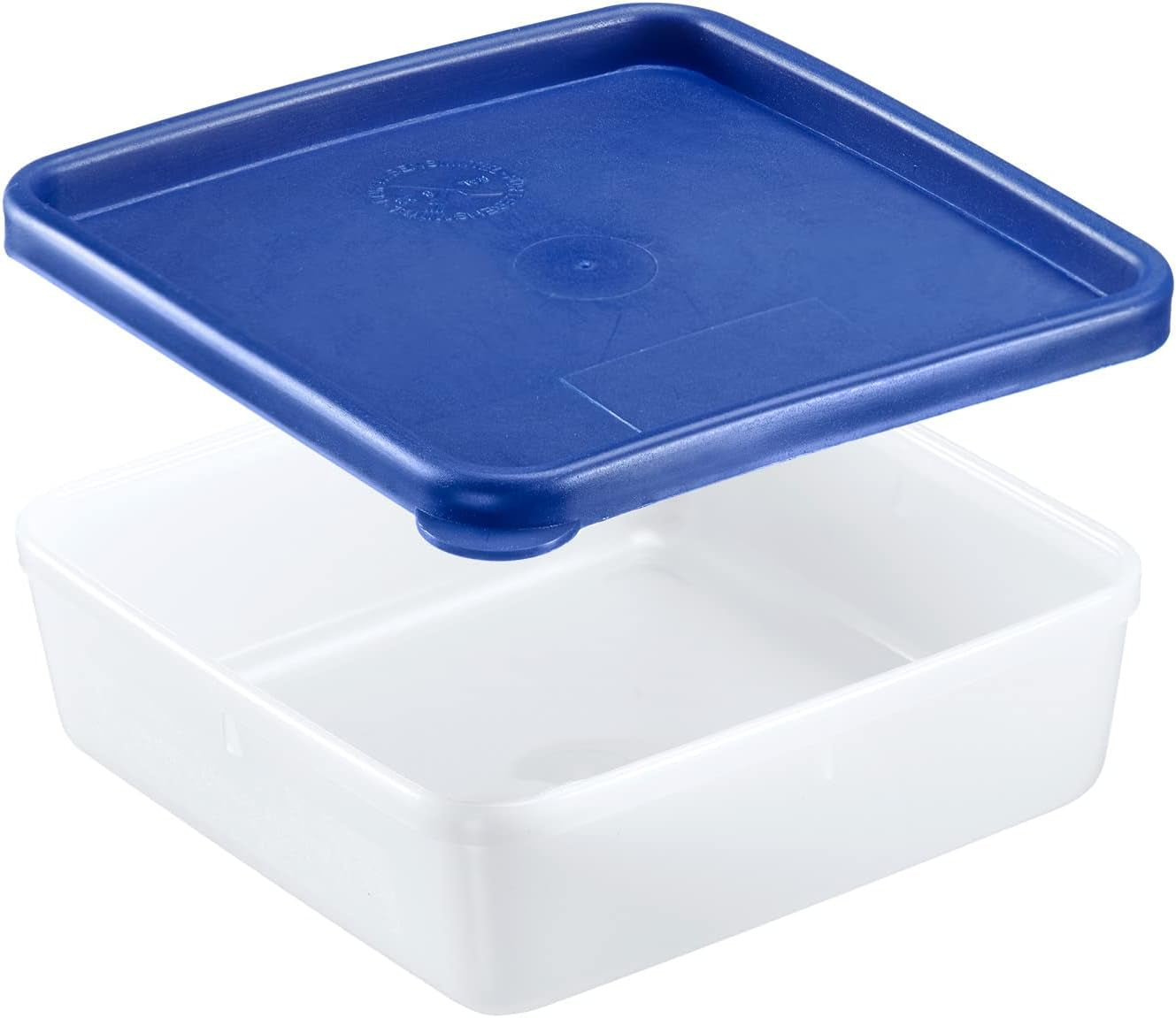 Westmark 4 recipiente pentru depozitarea alimentelor/congelare, inclusiv capac, capacitate: 0,25 l fiecare, stivuibile, plastic, Trio, culoare: transparent/albastru, 25042270 Cutii depozitare alimente Naty Shop