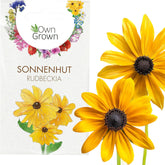 Semillas de equinácea: Semillas de equinácea amarilla de primera calidad para unas 20 plantas de equinácea con flores – Semillas de Rudbeckia – Rudbeckia resistente – Plantas perennes de equinácea – Plantas perennes resistentes de OwnGrown