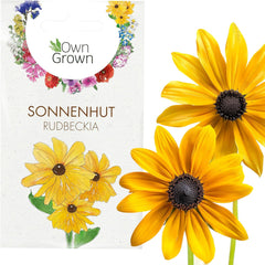 Semillas de equinácea: Semillas de equinácea amarilla de primera calidad para unas 20 plantas de equinácea con flores – Semillas de Rudbeckia – Rudbeckia resistente – Plantas perennes de equinácea – Plantas perennes resistentes de OwnGrown