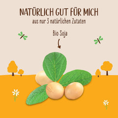 Allos Bio Sojadrink sin Zucker | Milchalternative de Soja | Bebida de soja | Bebida auf Pflanzenbasis | bebida vegana | ohne zugesetzten Zucker | vegano | sin lactosa | 1 Litro (6 Piezas)