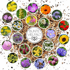 100 G Blumensamen Für 100 Qm Blumenwiese Bienen Booster Im Eigenen Garten Ein- Und Mehrjährig (Blumen-, Kräuter- & Kulturartensamen) Für Ein Bienenparadies Insektenfreundlich