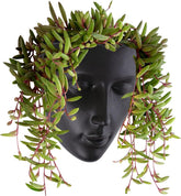 Jardinieră Notakia cu față, montată pe perete, pentru uz interior și exterior, cu drenaj, pentru suculente, cactuși și plante mici, decorațiune unică pentru casă, cadou pentru prieteni și familie